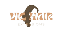 Vic Hair Extension Logo