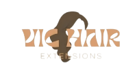 Vic Hair Extension Logo